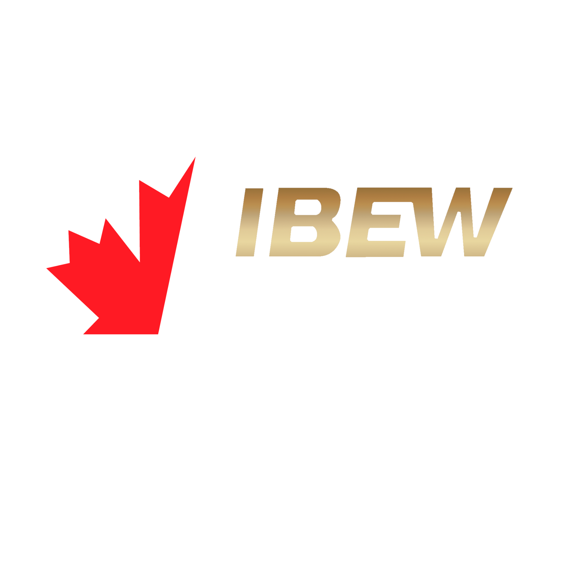 IBEW Local 303 Niagara